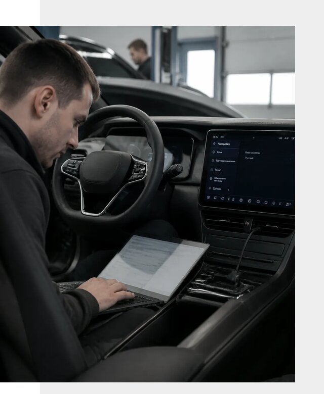 Русификация автомобилей BYD под ключ для всех моделей в Пскове