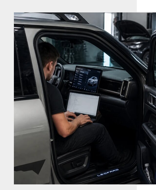 Русификация BYD Leopard 3 в Пскове по цене от 20199 р. | ФастМобиль-Пск